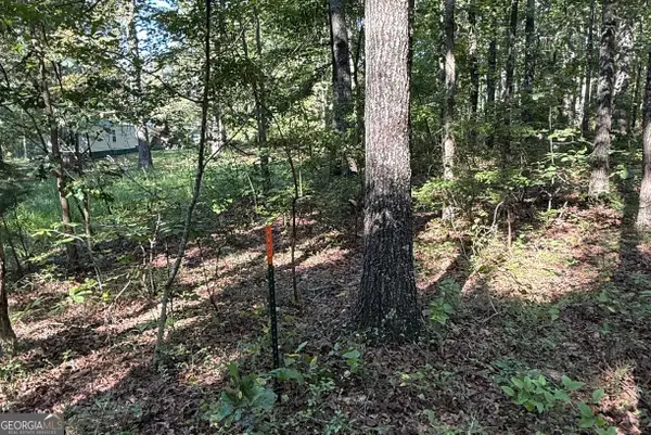 0 Turkey Court #LOT 42 & 46, Waco, GA 30182