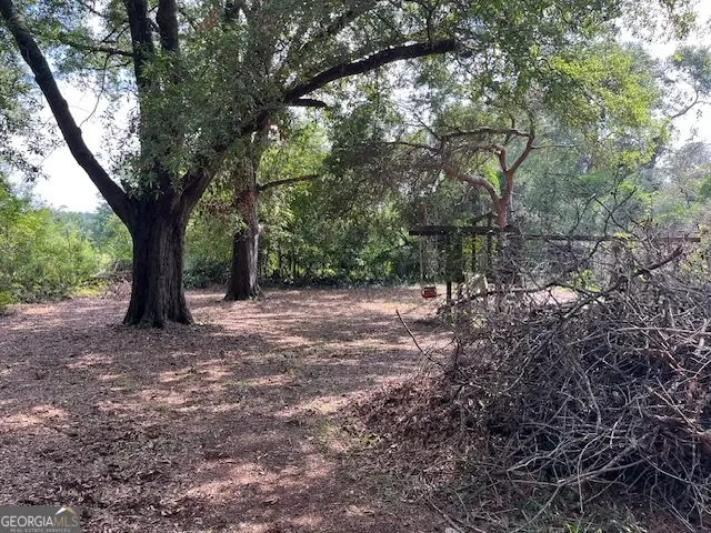 607 S Hull Street, Sylvania, GA 30467 - Image #3