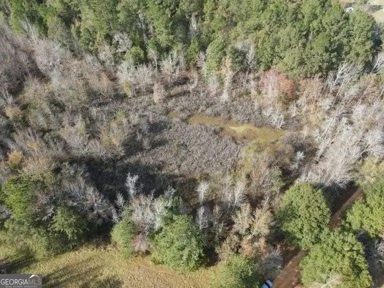 0 Smith Road, Wrightsville, GA 31096 - Image #2