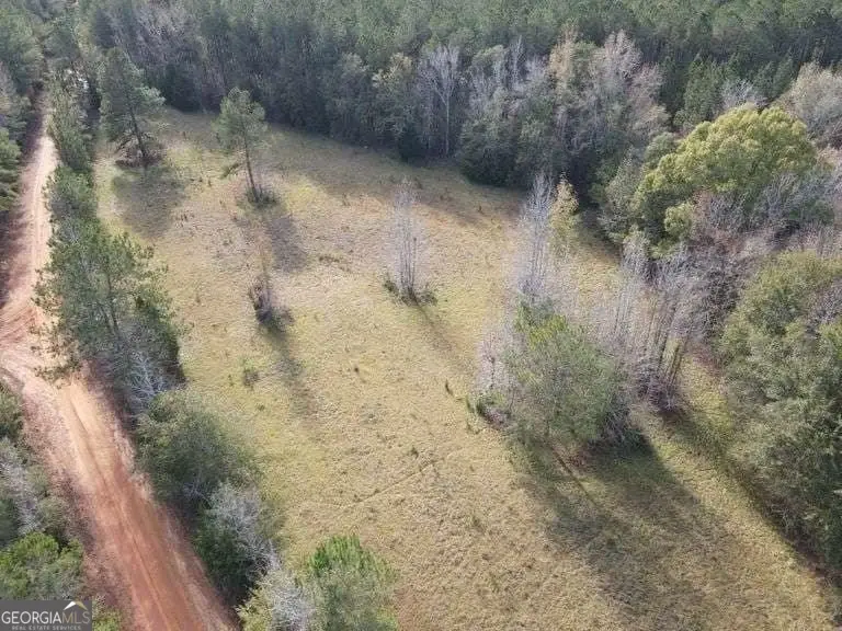 0 Smith Road, Wrightsville, GA 31096 - Image #3