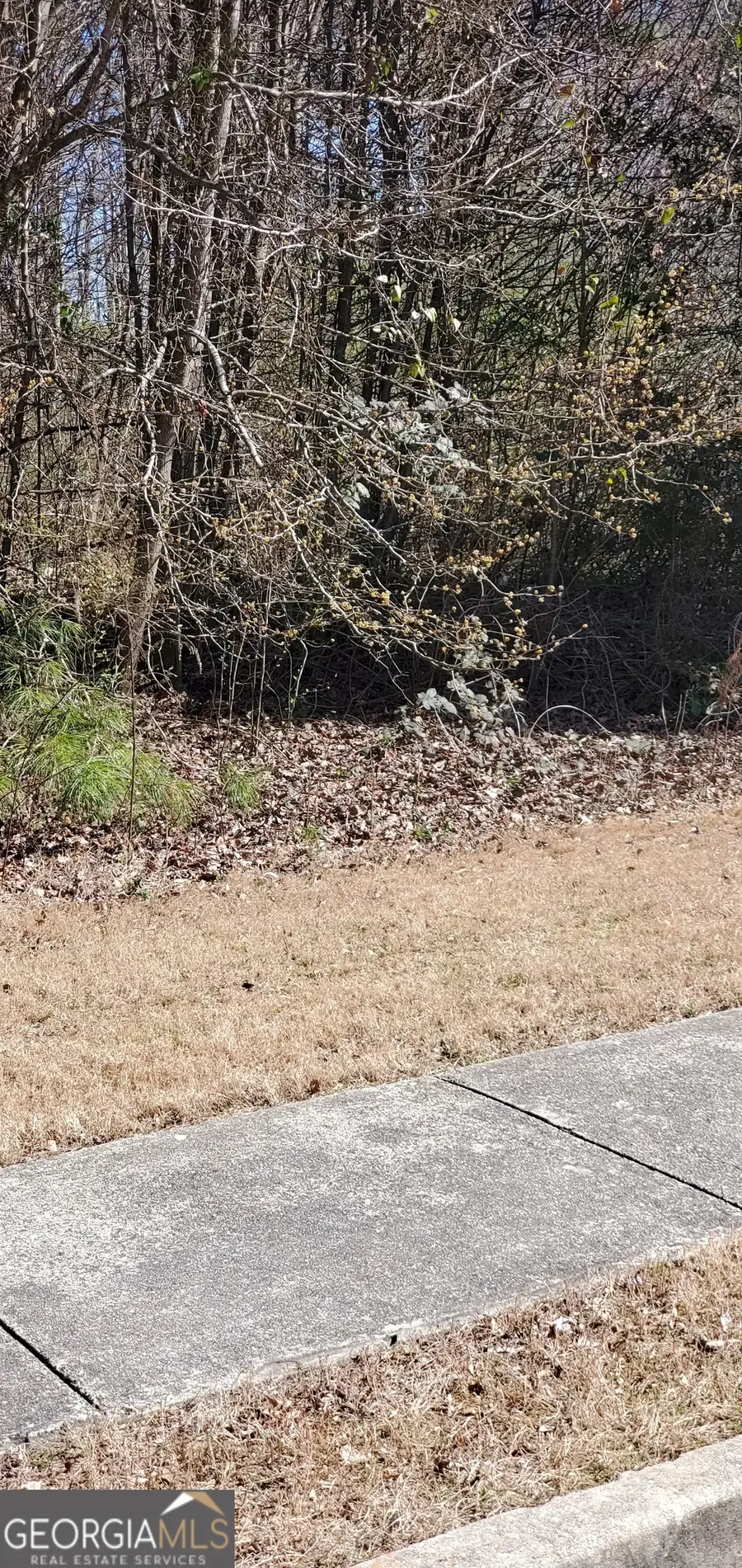 3447 Tiffany Cove Drive, Loganville, GA 30052 - Image #2