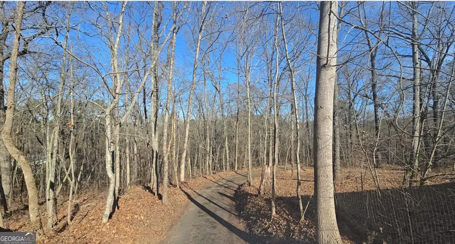 124 Puckett Road Se, Emerson, GA 30137 - Image #2