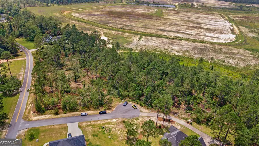 LOT 61 AND TRAC Lakewood Drive, Vidalia, GA 30474 - Image #3