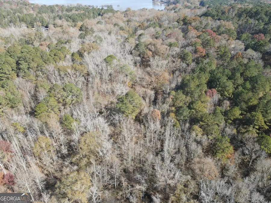 0 Oconee Rd Lot 7, Buckhead, GA 30625 - Image #3