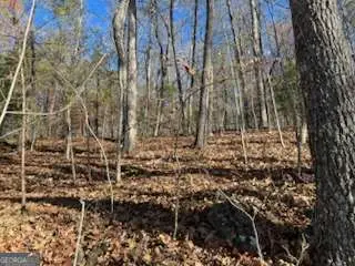 1918 Creekstone Lane, Young Harris, GA 30582 - Image #2