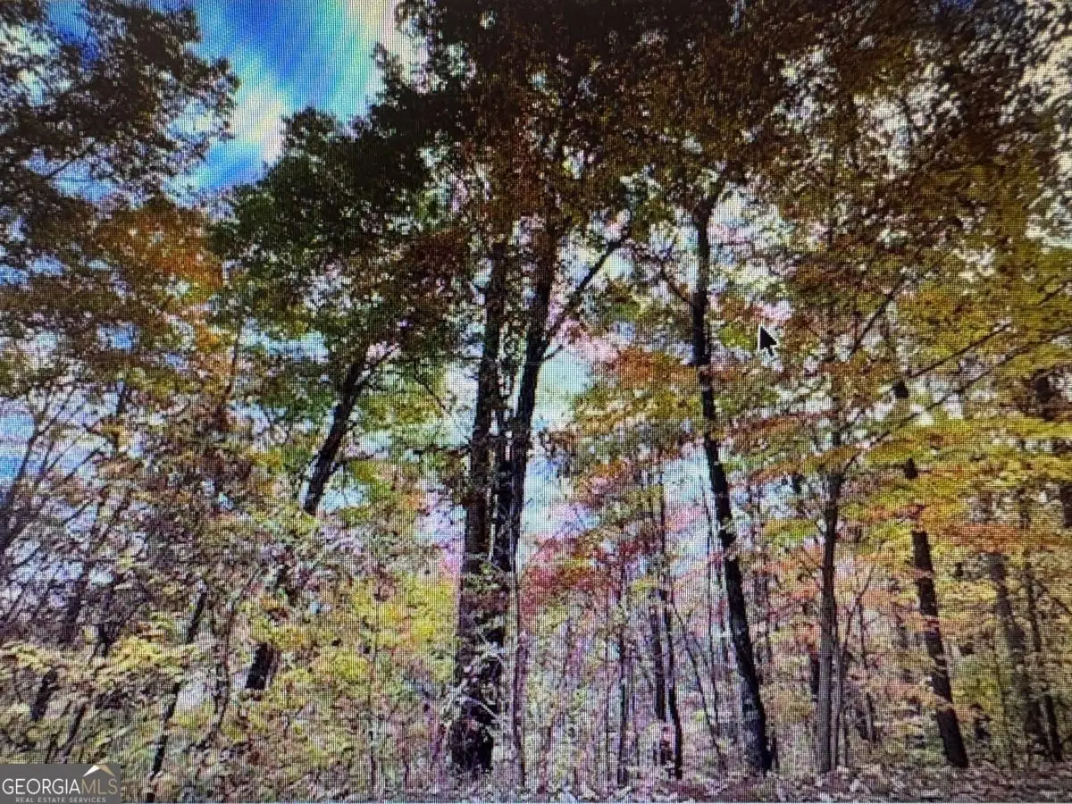 6 Morgan Creek Lot 6 #6, Young Harris, GA 30582 - Image #1