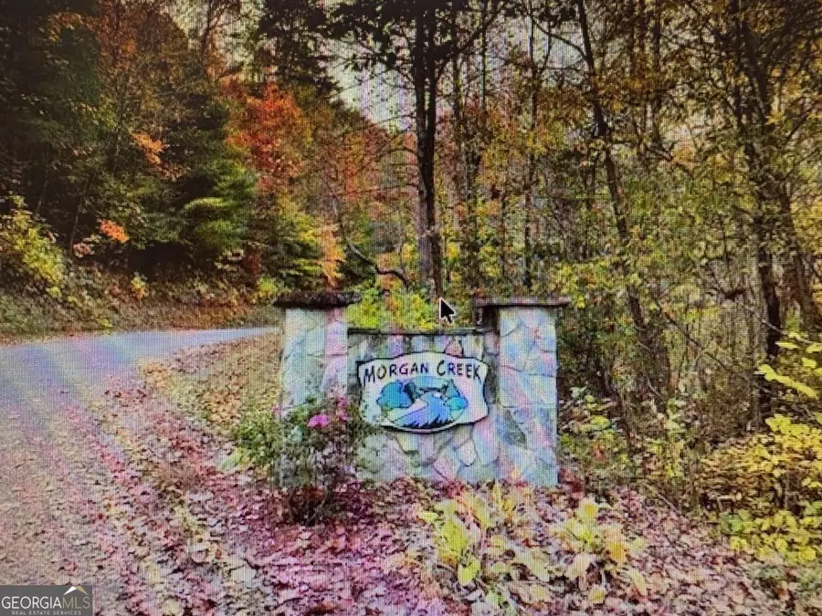 6 Morgan Creek Lot 6 #6, Young Harris, GA 30582 - Image #2