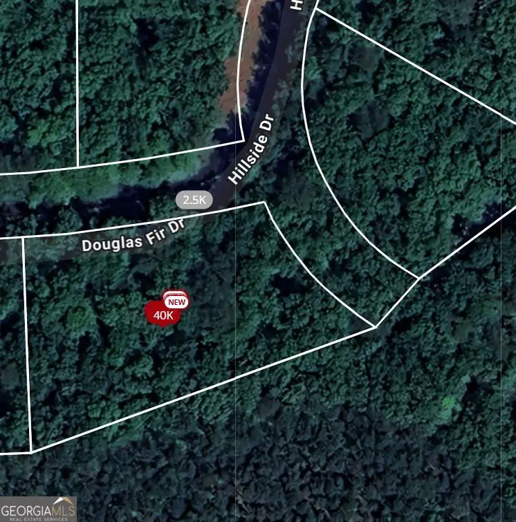 101 Douglas Fir Drive, Waleska, GA 30183 - Image #1