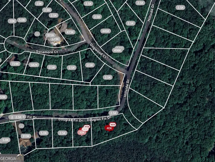 101 Douglas Fir Drive, Waleska, GA 30183 - Image #2