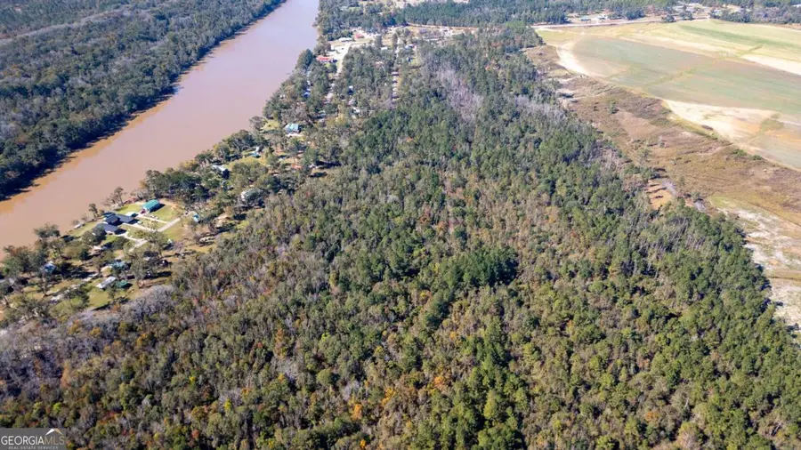 0 Grays Landing Road, Uvalda, GA 30473 - Image #2