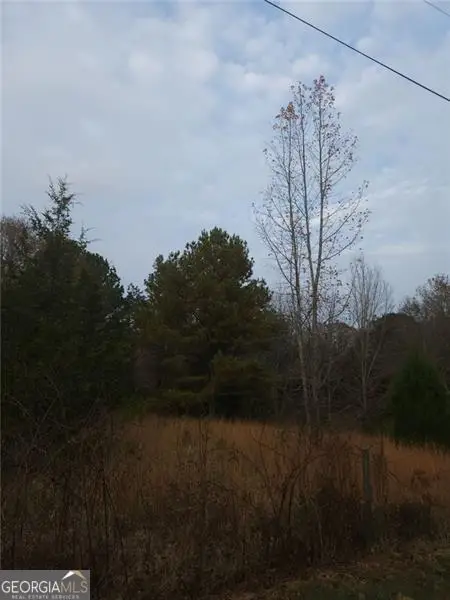 0 Mulberry, Winder, GA 30680 - Image #1