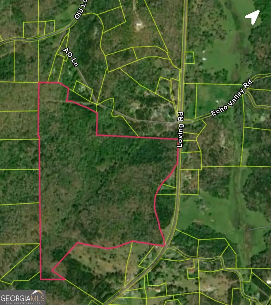 0 Loving Road, Morganton, GA 30560 - Image #2