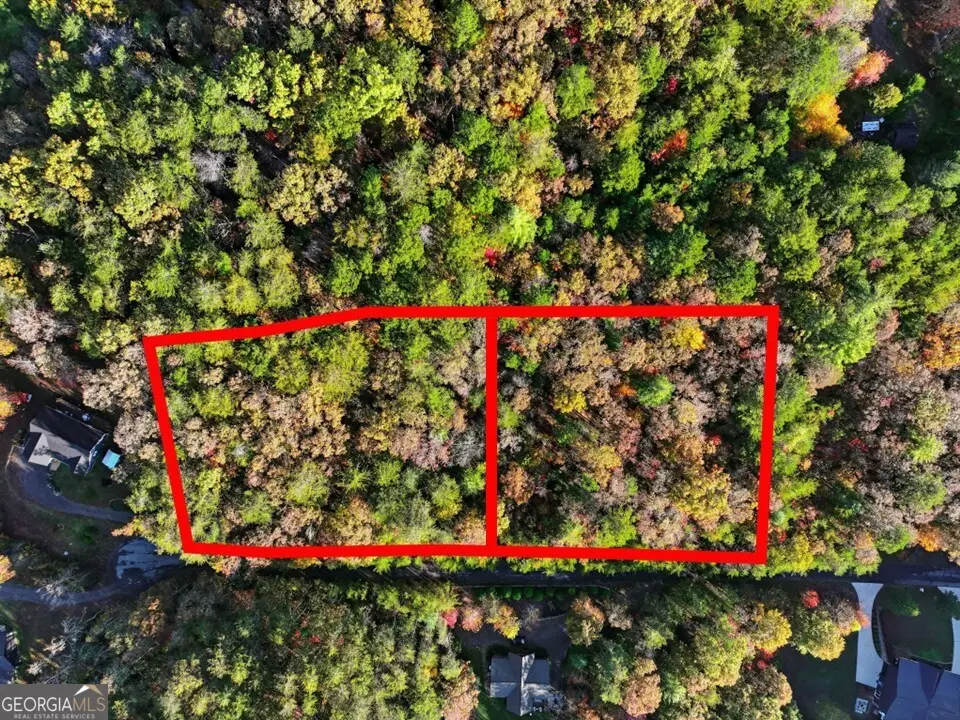 0 Autumn Ridge Drive Lot 10 & Lot 11 Drive, Mineral Bluff, GA 30559 - Image #1