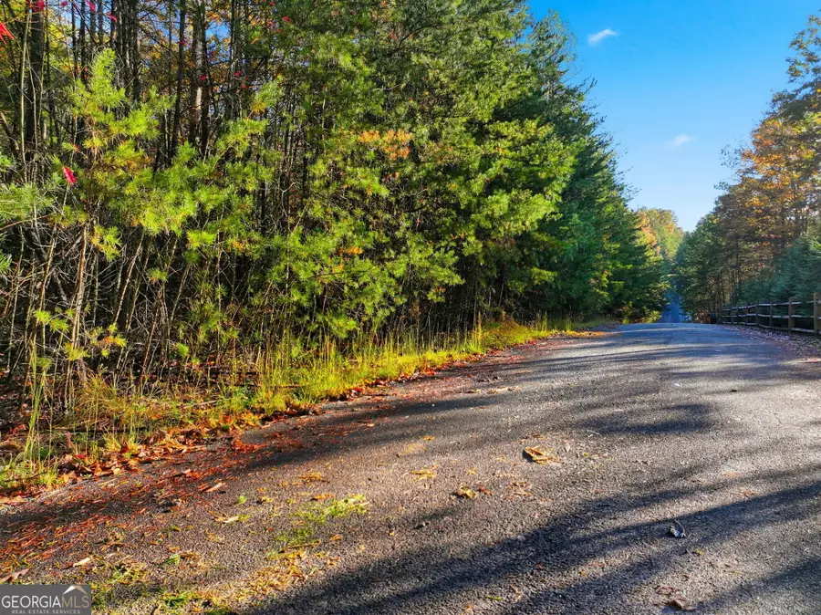 0 Autumn Ridge Drive Lot 10 & Lot 11 Drive, Mineral Bluff, GA 30559 - Image #2