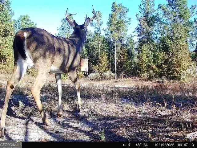 0 Indian Trail Road, Sandersville, GA 31082 - Image #1