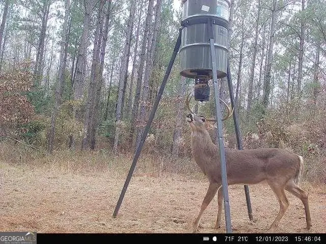 0 Indian Trail Road, Sandersville, GA 31082 - Image #3