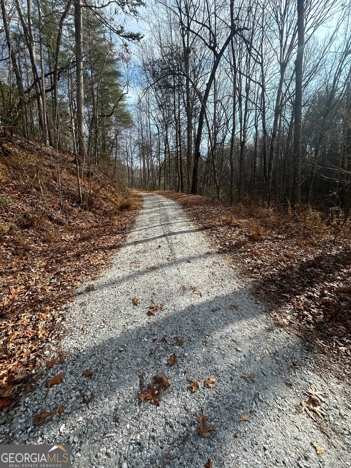 0 Amaryllis Lane, Tiger, GA 30576 - Image #1