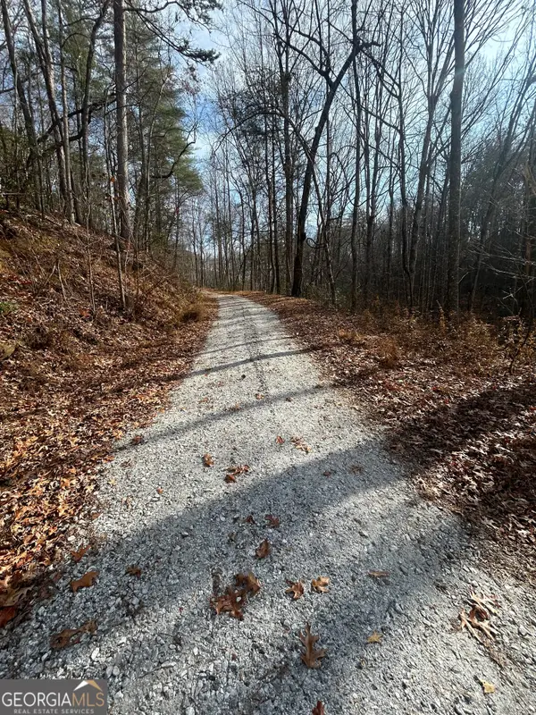 0 Amaryllis Lane, Tiger, GA 30576