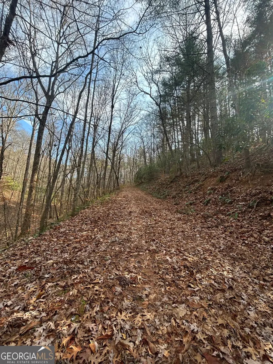 0 Amaryllis Lane, Tiger, GA 30576 - Image #3