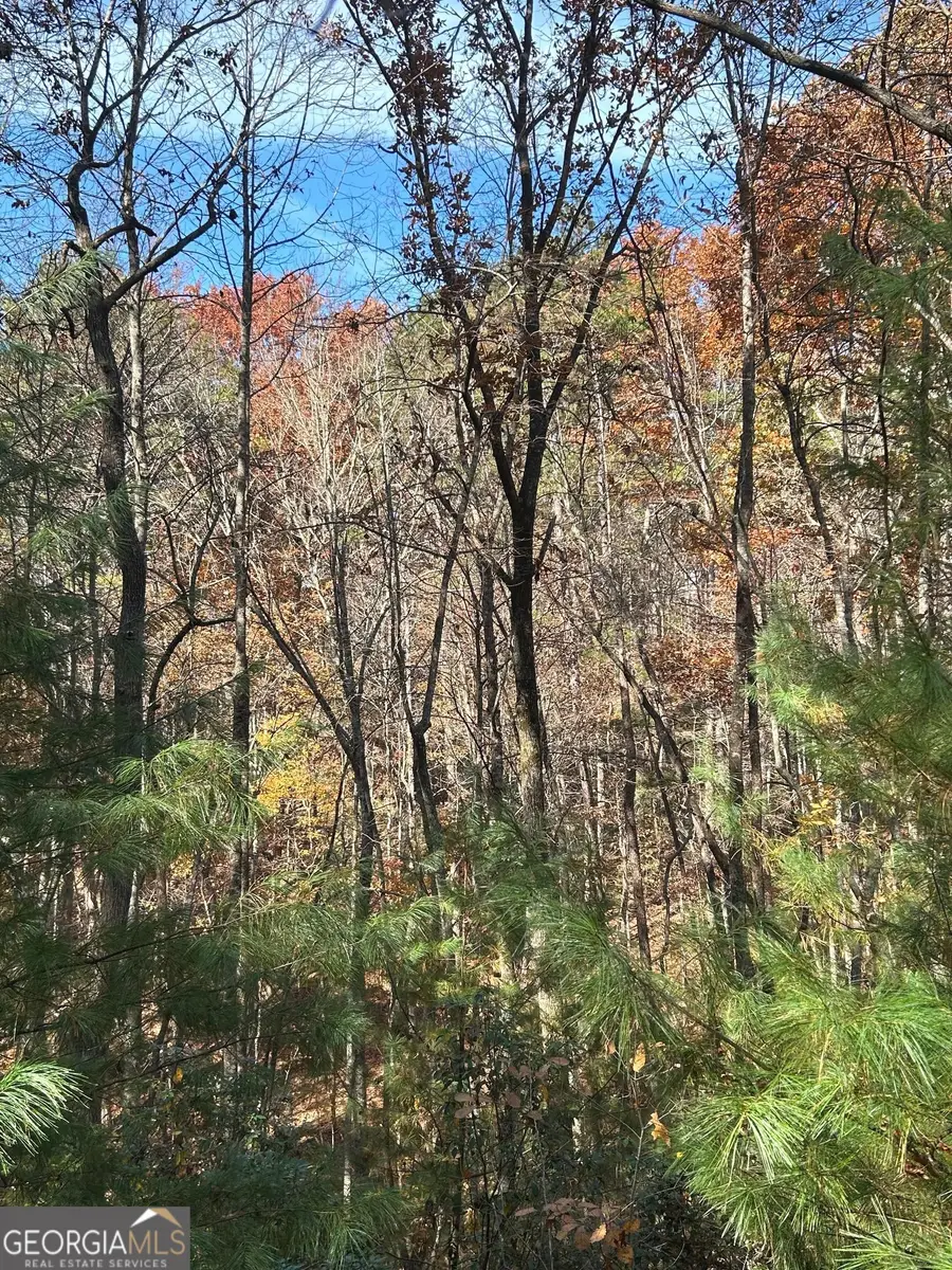 0 Lakota Lane, Mineral Bluff, GA 30559 - Image #3