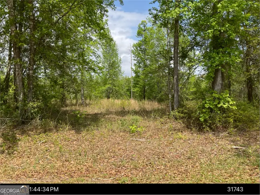 0 Clarks Bluff Road, Kingsland, GA 31548 - Image #2