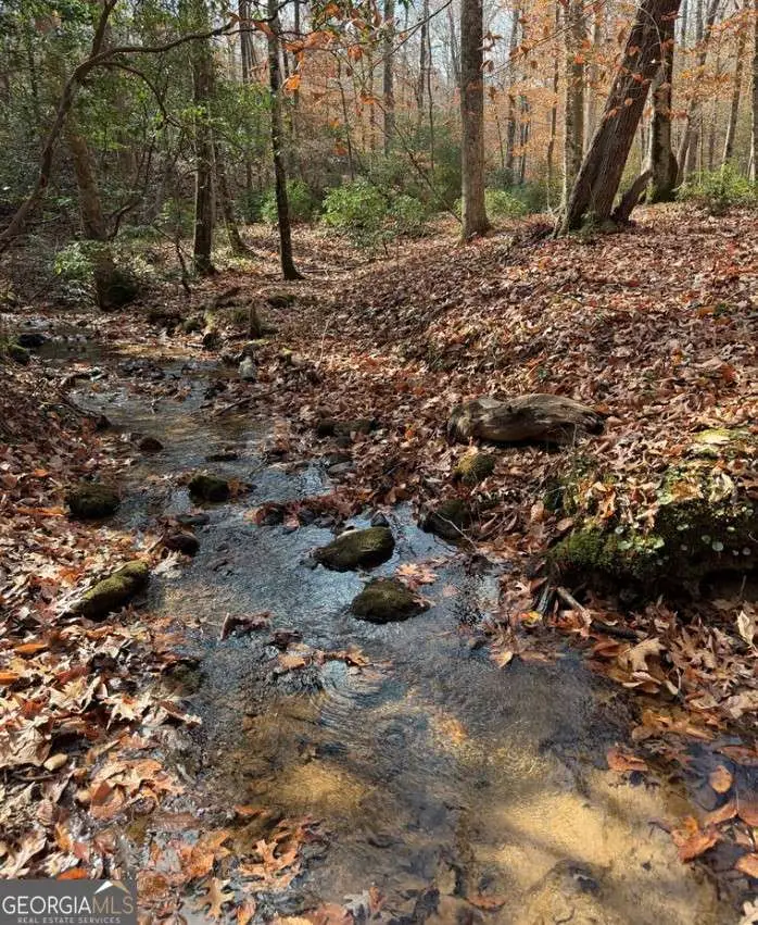 LOT A Magnums Trail #A, Blue Ridge, GA 30513 - Image #2