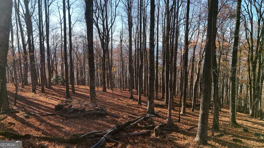 LOT 11 Mountainside Drive, Cleveland, GA 30528 - Image #3