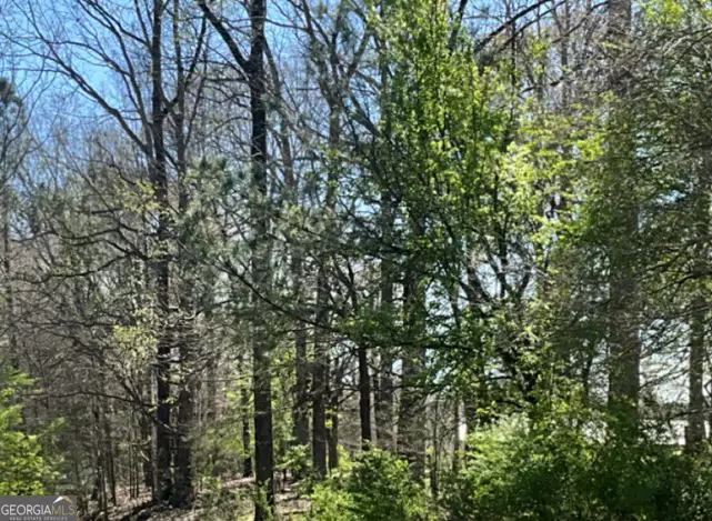 0 Double Bridges Road, Winterville, GA 30683 - Image #2