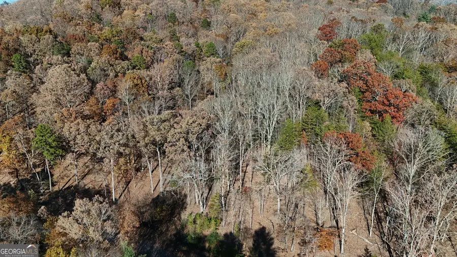 LOT 183 Northshore Drive, Cleveland, GA 30528 - Image #3