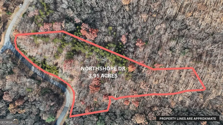 LOT 184 Northshore Drive, Cleveland, GA 30528 - Image #2