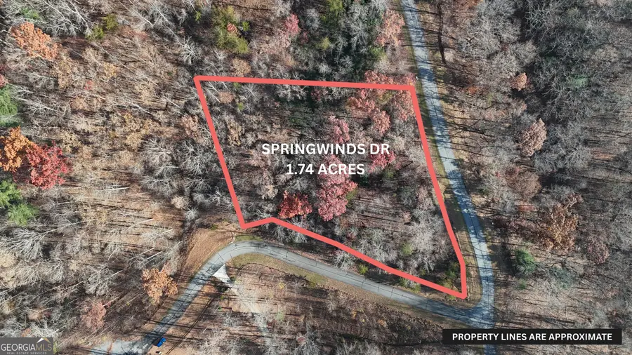 LOT 196 Springwinds Drive, Cleveland, GA 30528 - Image #2