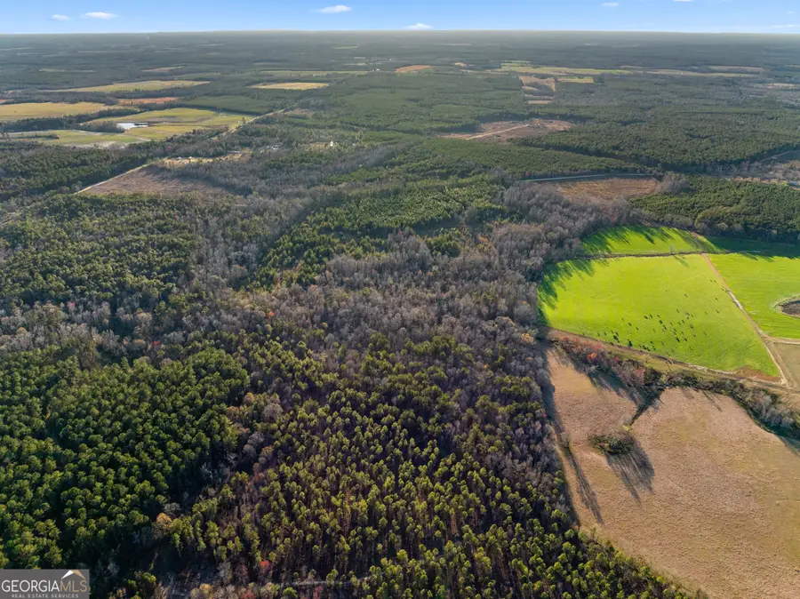 0 Thomas Road, Millen, GA 30442 - Image #2