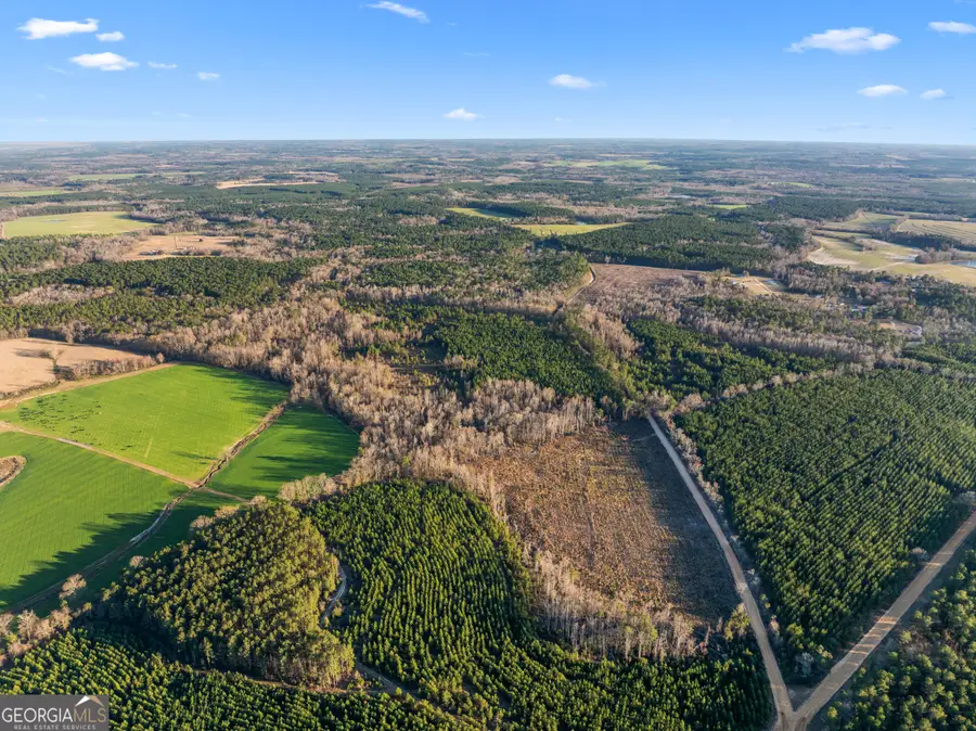 0 Thomas Road, Millen, GA 30442 - Image #3