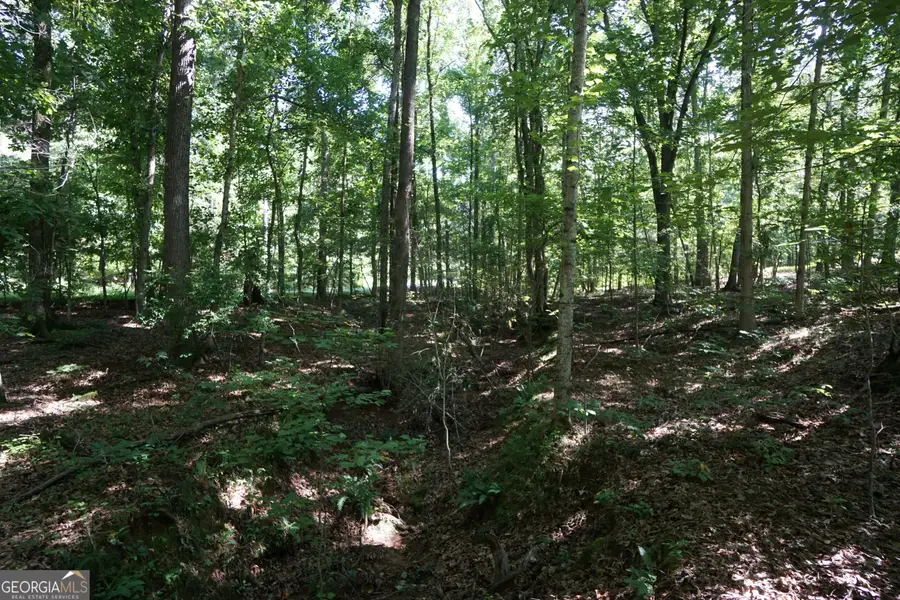 0 Springdale Drive, Palmetto, GA 30268 - Image #3