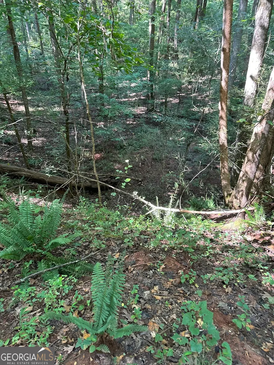 00 Fears Road, Madison, GA 30650 - Image #3