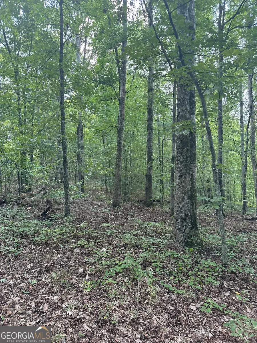 0 Fears Road, Madison, GA 30650 - Image #2