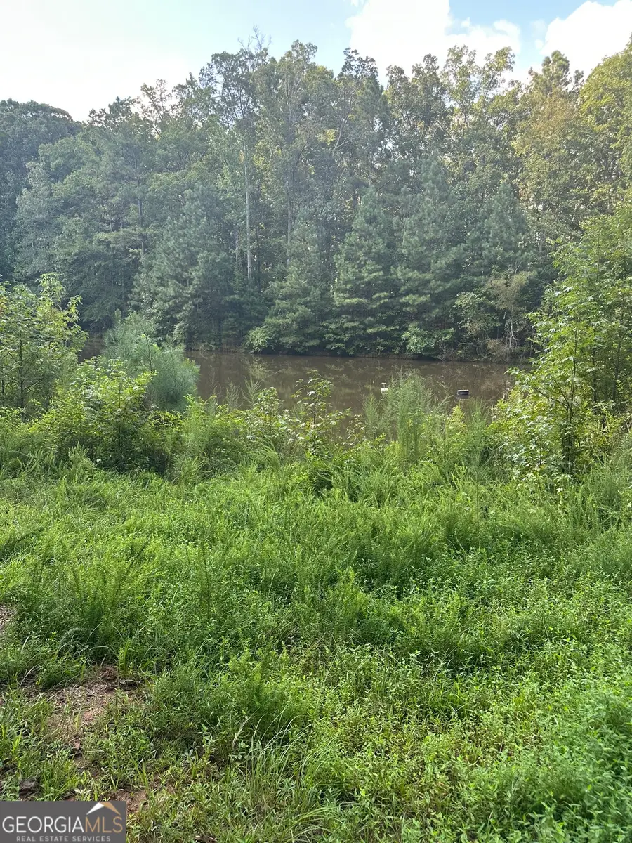 0 Fears Road, Madison, GA 30650 - Image #3