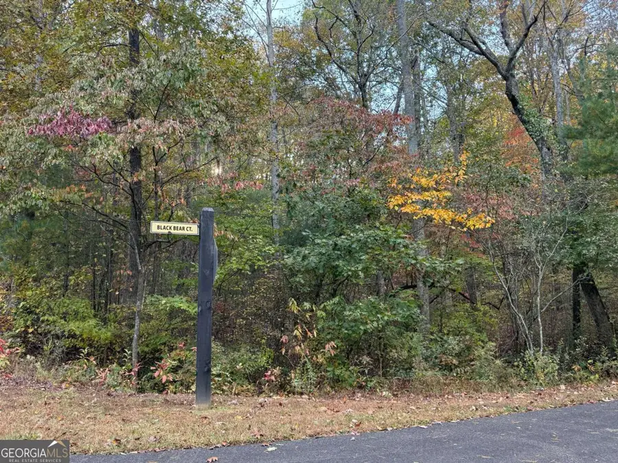 0 Black Bear Court, Ellijay, GA 30536 - Image #3