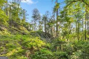 0 Chastain Court, Marble Hill, GA 30148