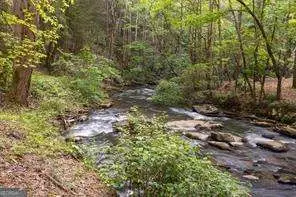 0 Chastain Court, Marble Hill, GA 30148 - Image #2