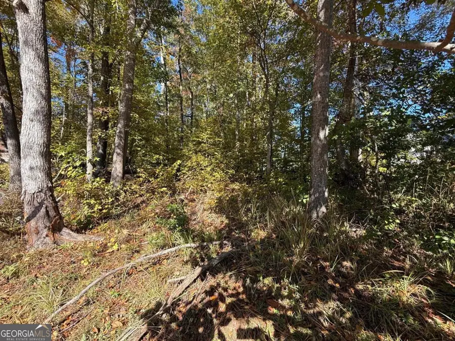 0 Gardenia Road, Sparta, GA 31087 - Image #2