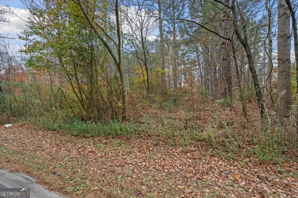 231 Buncombe Waco Road, Waco, GA 30182