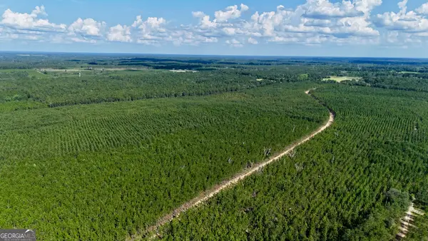 0 Penny Morris Road, Baxley, GA 31513