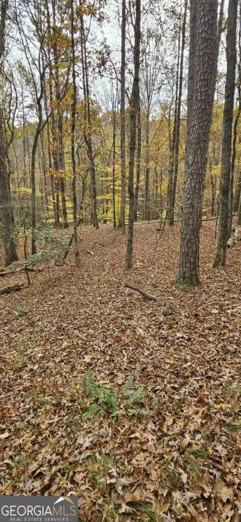 0 N Falling Waters Drive, Demorest, GA 30535 - Image #2