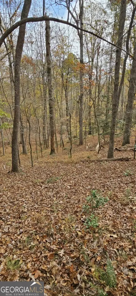 0 N Falling Waters Drive, Demorest, GA 30535 - Image #3