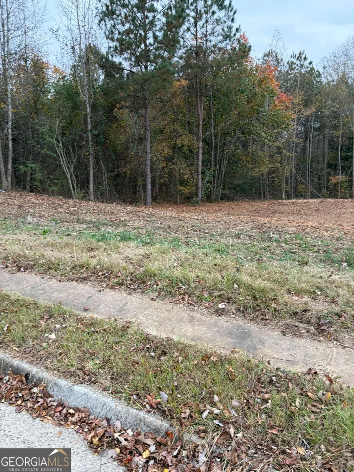 1105 Patriot Circle, McDonough, GA 30252 - Image #1