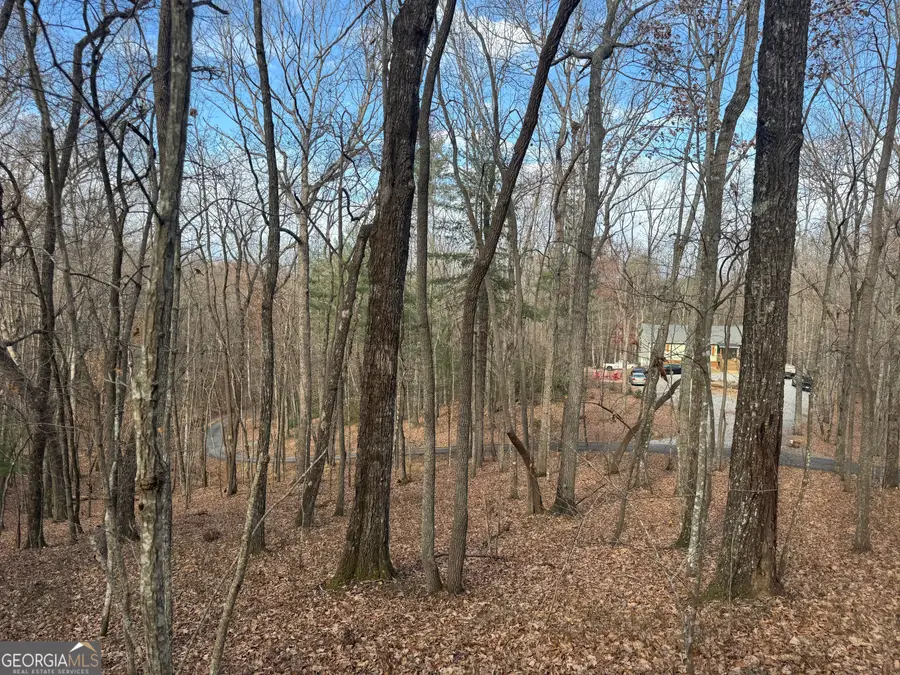 0 Geneva Place, Sautee Nacoochee, GA 30571 - Image #3