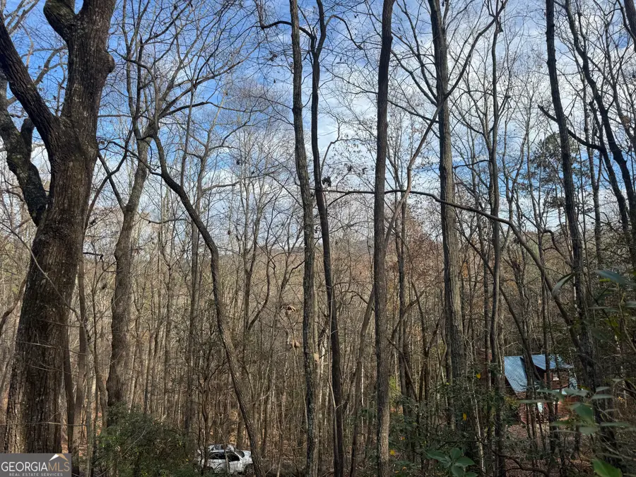 0 Geneva Place, Sautee Nacoochee, GA 30571 - Image #3