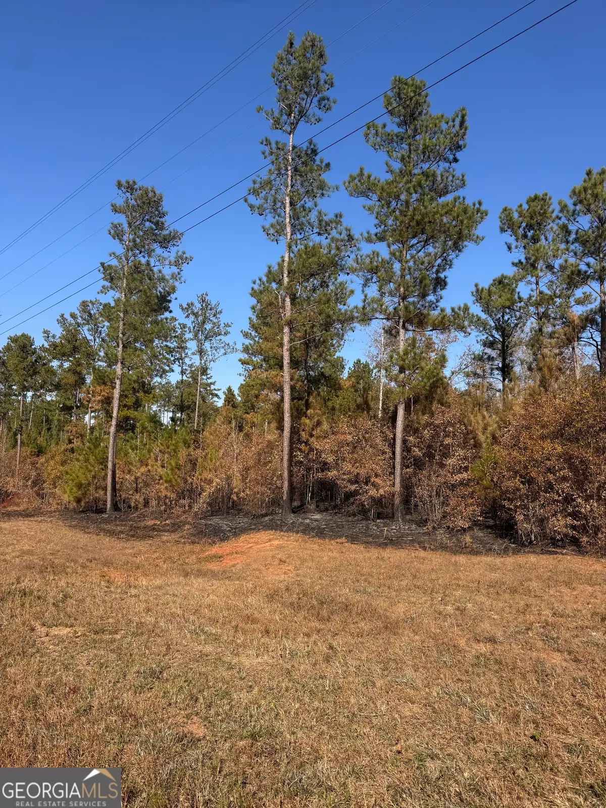 4517 Hwy 18, West Point, GA 31833 - Image #1