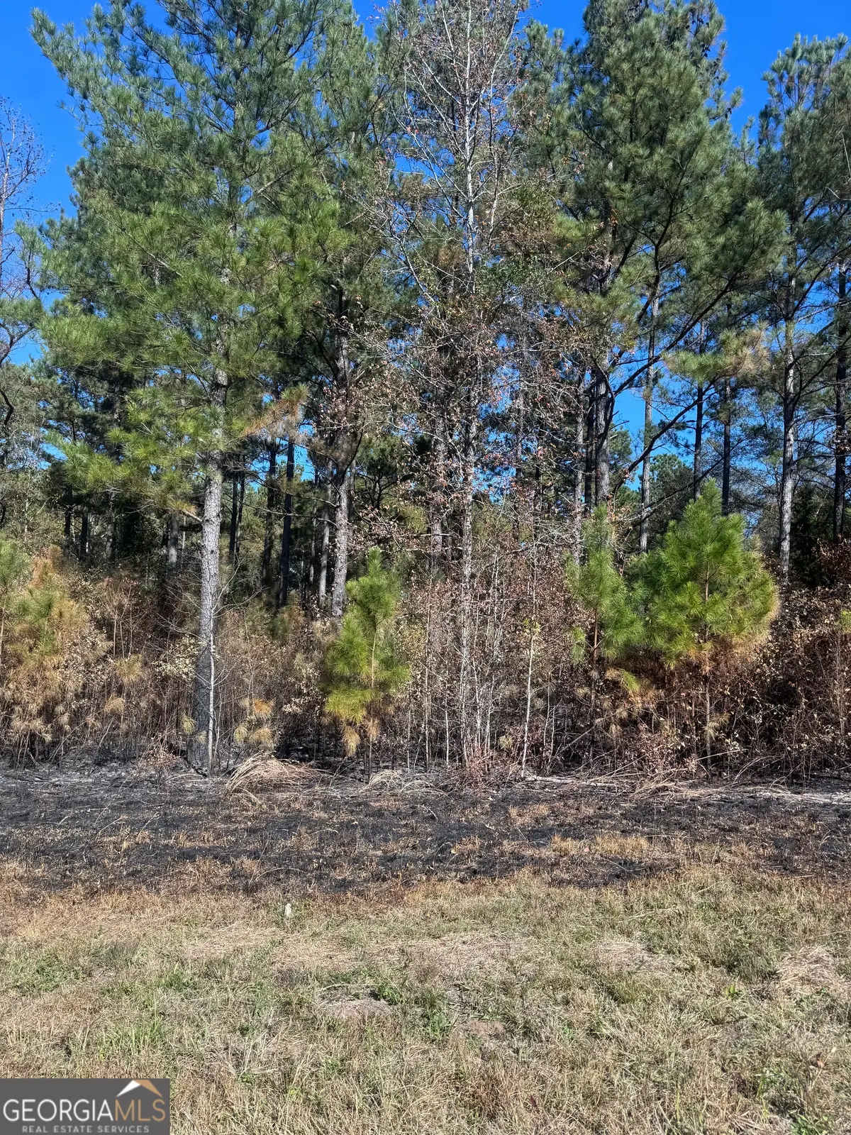 137 W Drummond Rd, West Point, GA 31833 - Image #1